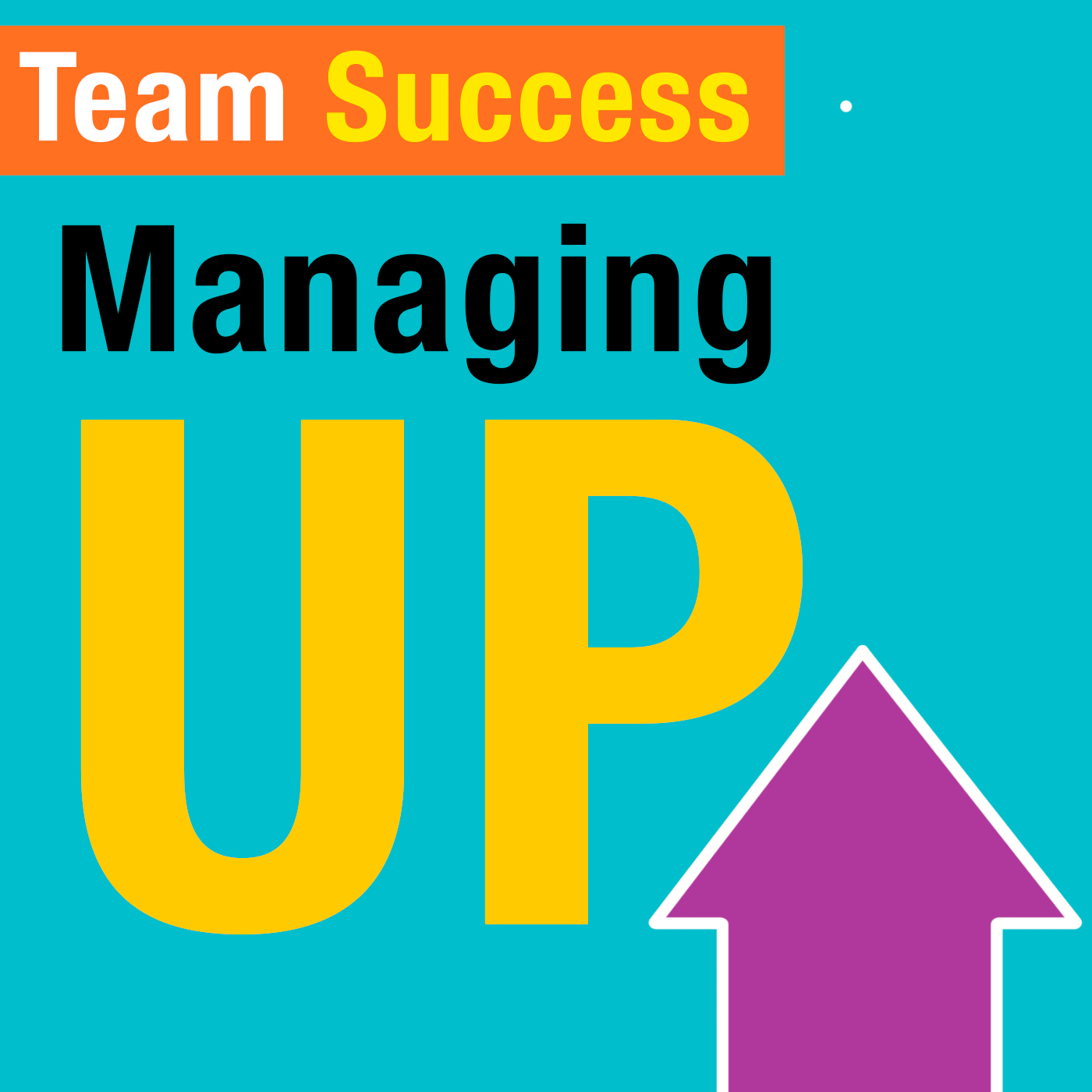 Managing Up - Team Success Podcast