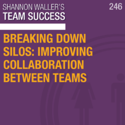 Breaking Down Silos: Improving Collaboration Between Teams