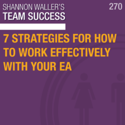 7 Strategies For How To Work Effectively With Your EA